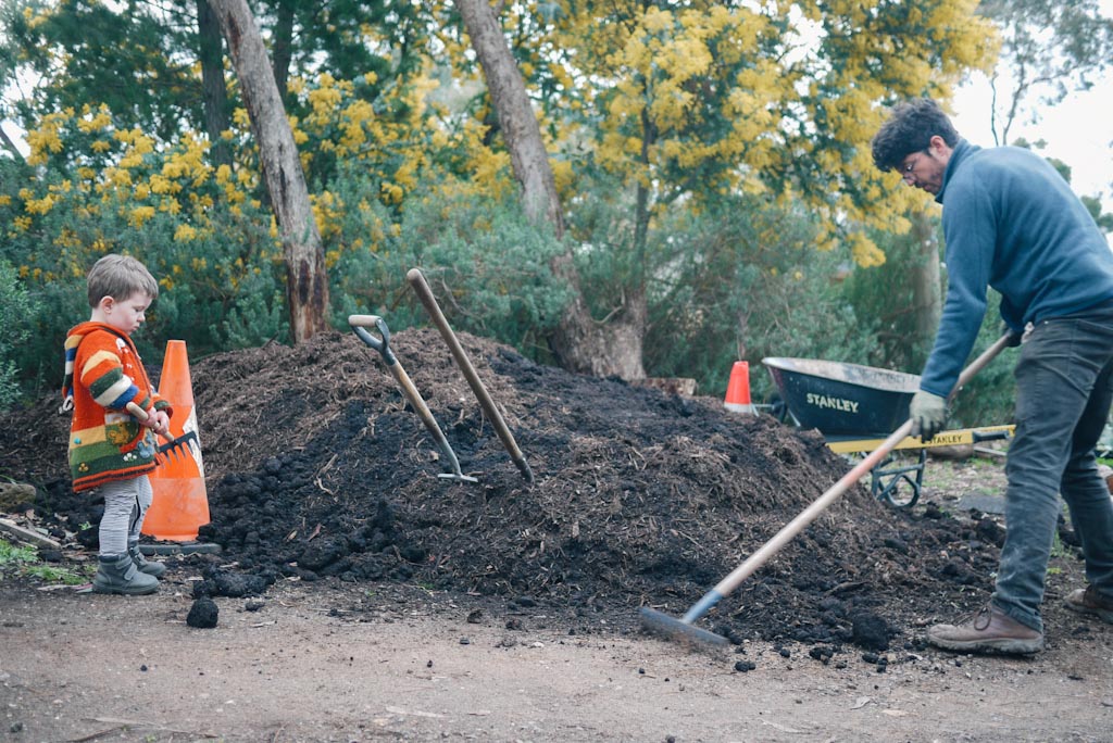 Father and son digging from large pile of mushroom compost